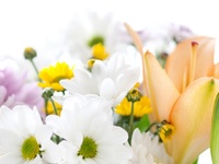 ご法要会食プラン_蓮華_