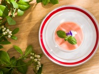 [Luxurious lunch with a choice of main dishes] Stageone (5 plates)