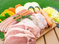 お手軽食材付きコース