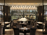 【個室確約】表参道の緑と季節の一皿に誘われて！カジュアルプラン＋2時間飲み放題（11～32名）