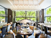 【個室確約】表参道の緑と季節の一皿に誘われて！厳選プラン＋2時間飲み放題（11～32名）