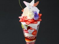 TCM会員様限定【4月】 グリンデルワルドパフェ～ブロッサム～(コーヒー又は紅茶付き)