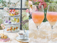 【土日 スペシャルドリンク付き（わんちゃん同伴無し）】大人/中学生以上フラワーマルシェアフタヌーンティー