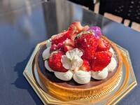 Valentine's Day Limited Edition Raw Chocolate Tart Made with Kyoto Drops (15cm)