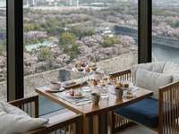 [Window seat guaranteed, champagne toast included] Sakura Afternoon Tea