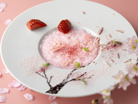 【3月・4月】WEB限定 SAKURAランチコース全4品 ワンドリンク付き