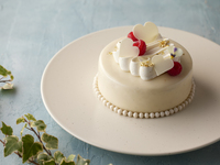 【外卖】白巧克力莓果慕斯