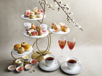 JW Strawberry Afternoon Tea ~White Strawberries and Cherry Blossoms~ + Glass of Champagne
