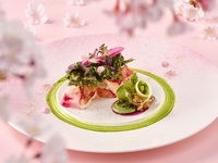 Menu Saisons SAKURA～