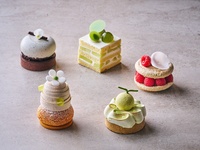 季節のケーキ（5月・6月）