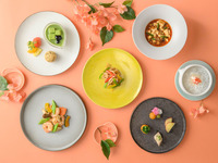 【WEB限定】HALOWランチコース