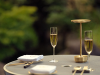 THE GARDEN ORIENTAL OSAKA dinner course