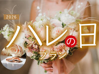 2026 Special Day Plan (Standard)