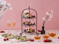 【土日祝：いちご×桜アフタヌーンティー】春を堪能するティーフード＆デザートドリンク＋スパーク等3時間フリーフロー