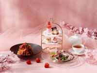 【平日限定★いちご＆桜4種デザート★乾杯スパークリングワイン】表参道パスタランチ