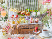 犬同伴【ピクニック】フラワーマルシェアフタヌーンティー 2部(土日祝)