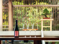 【20席限定】テルモンと一夜限りの特別コラボイベント