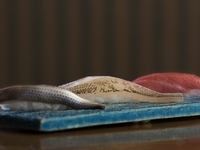 [Nigiri sushi lunch] Yuragawa