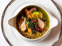 【Dinner Course – 4 dishes】Two Starters · Main Course・Dessert  Including a welcome glass of Champagne