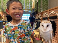 【小学生以下4～12歳】 触れ合い＋フクロウ乗せ体験＋1オーダー制