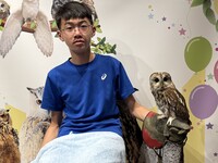 【60分学割】 触れ合い＋フクロウ乗せ体験＋1オーダー制