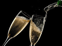 渋谷コース　飲み放題