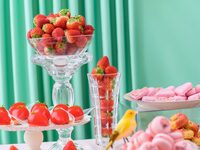 【4月～6月】<ディナー>ワイン&生ビール飲み放題付・満開春桜といちごのスイーツビュッフェ 9300円