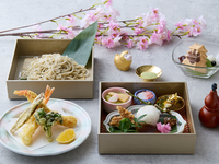 豊臣お花見ランチ