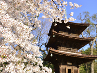 Gran Teatro　～至高のフルコース～