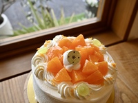 【季節限定】せとかのショート（6号）