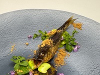Omakase course