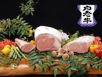 March-April Shikisai Course <Shiraoi Beef, one of Hokkaido's top three Wagyu beef>