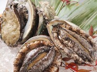 Limited-time Lunch YOROKOBI Course 3/1~4/30