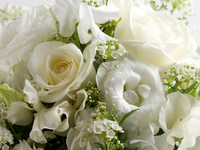 【法要プラン】コース料理＋個室料無料　17,000円（3/1～）