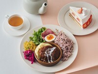 【デザート＆ドリンク付きのスペシャルランチ】煮込みハンバーグ、デミグラスソース