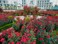 THE SKY Premium Lunch Buffet and Red Rose Garden Admission (Weekdays)