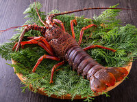 GW特別コース　伊勢海老と黒毛和牛のしゃぶしゃぶ　4/28～5/6 (前日までのご予約制)