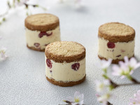 桜のスイーツコレクション✿桜とクランベリーのバターサンド