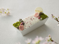 벚꽃의 고산수 티라미수