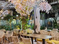 【歓送迎会★夜桜テラス確約】季節のフルーツサラダや特製タコスを愉しむカジュアルコース全4品