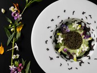 【Dinner Course TSUKI】 Course only