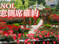 <NOL Adult rate for WEEKDAYS> Sandwich & Dessert Buffet :*Red Rose Garden admission ticket included