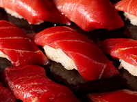 OMAKASE Short Course (16 dishes total) / Unlimited sake pairing