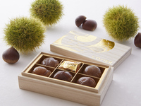 L’OSIER Marron Glacé