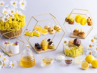 [Limited to 20 people per session / Three-part system ① 12:00-14:00] "Honey Lemon Holic Afternoon Tea"