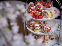 Cherry Blossom Viewing High Tea