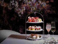 ✿CHANDON BRUT Free Flow✿ Cherry Blossom Viewing High Tea