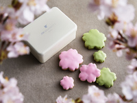 Sakura Cookie Box