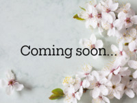 Experience Japanese afternoon tea + chiffon cake souvenir