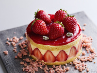 Fraisier 12cm